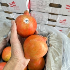 LỰU ẤN ĐỘ 