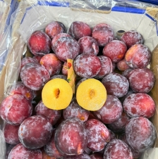 MẬN ÚC 