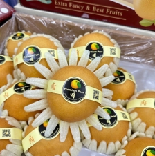 LÊ NÂU 